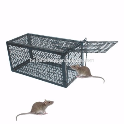 Mouse Trap Cage